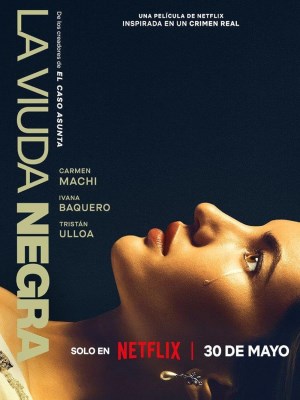 Xem phim Trò Chơi Của Một Góa Phụ online