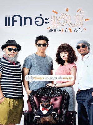 Xem Phim Mèo Mai Mối Online