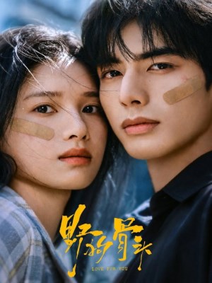 Xem Chó Hoang Và Xương Online