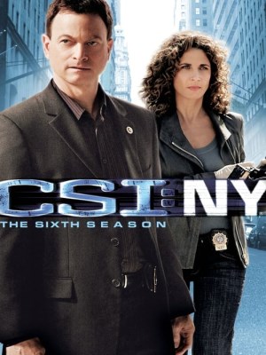 Xem Phim CSI: New York (Mùa 6) Online
