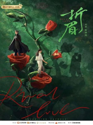 Xem Phim Tình Địch Online