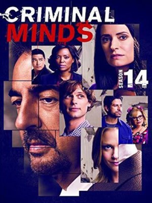 Xem Phim Tâm Lý Tội Phạm (Mùa 14) Online