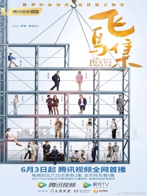 Xem Phim Bầy Chim Lạc Online